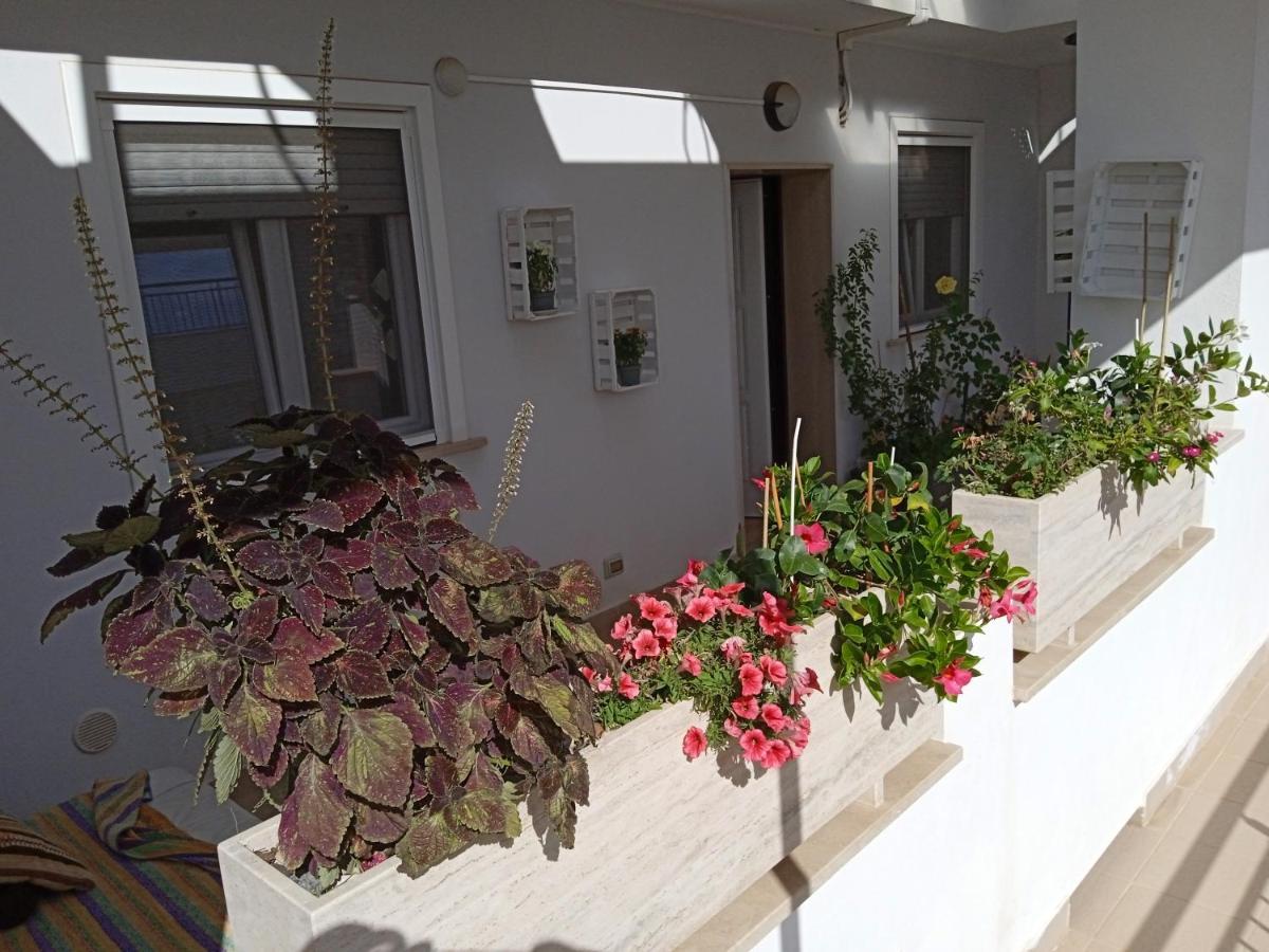 شقة La Casa Di Elena Sannicandro di Bari المظهر الخارجي الصورة